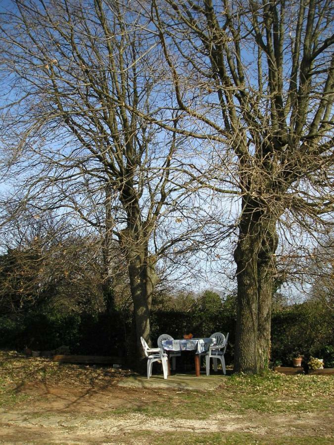 Twin Oaks Leilighet Šišan Eksteriør bilde
